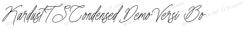 KardustTSCondensedDemoVersi BoldIta字体转换